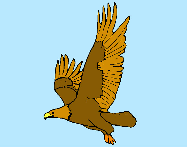 Dibujo Águila volando pintado por alvarop