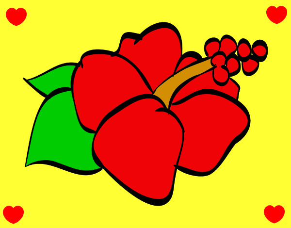 Dibujo Flor de lagunaria pintado por jng9