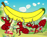 Dibujo Hormigas con plátano pintado por pablo01