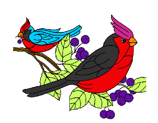 Dibujo Pájaros pintado por kofotor