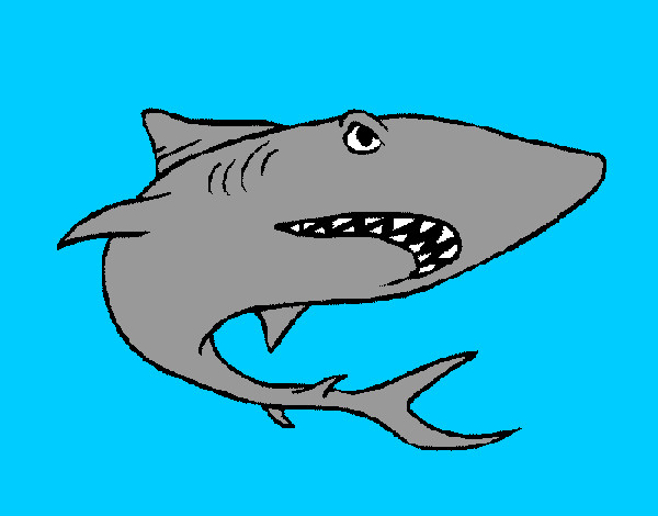 Dibujo Tiburón pintado por alvarop