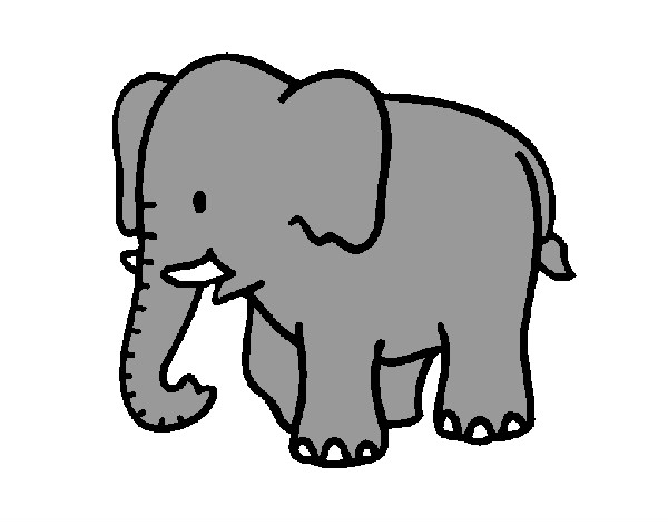 Dibujo Elefante bebe pintado por carolinaca