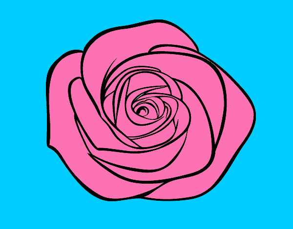 Dibujo Flor de rosa pintado por aroa2004
