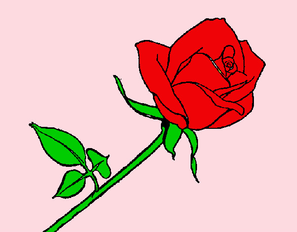 Dibujo Rosa pintado por sofia562