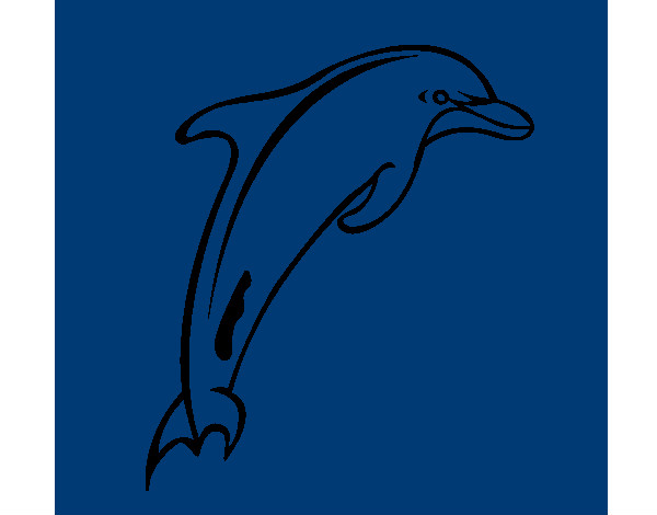 Dibujo Delfín adulto pintado por lucas2009