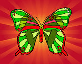 Dibujo Mariposa silvestre pintado por iancito