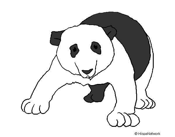 Dibujo Oso panda 1 pintado por aroa2004