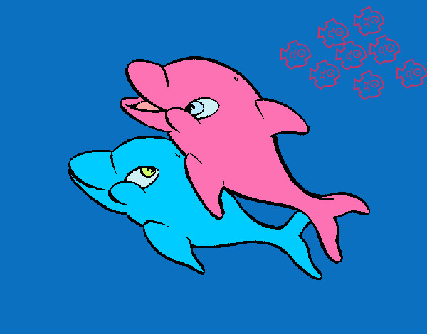 delfines jugando