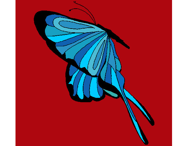 Dibujo Mariposa con grandes alas pintado por NCPM