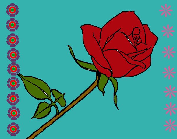 Dibujo Rosa pintado por edi24