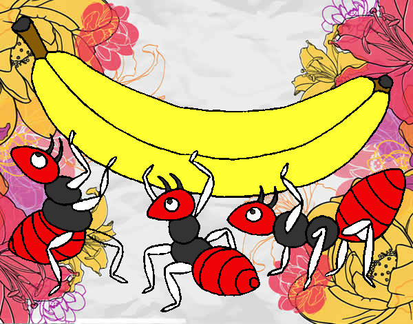 Dibujo Hormigas con plátano pintado por Marisok