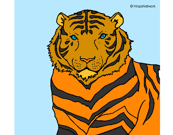 Dibujo Tigre 3 pintado por Marisok
