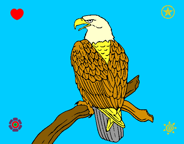 Dibujo Águila en una rama pintado por TAKEN