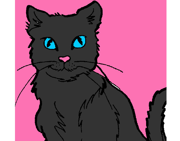 Dibujo Gato 2 pintado por ainhoa2014