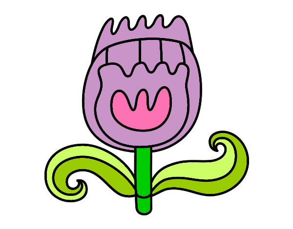 Tulipán doble