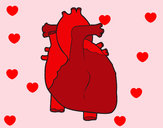Dibujo Corazón humano pintado por montses
