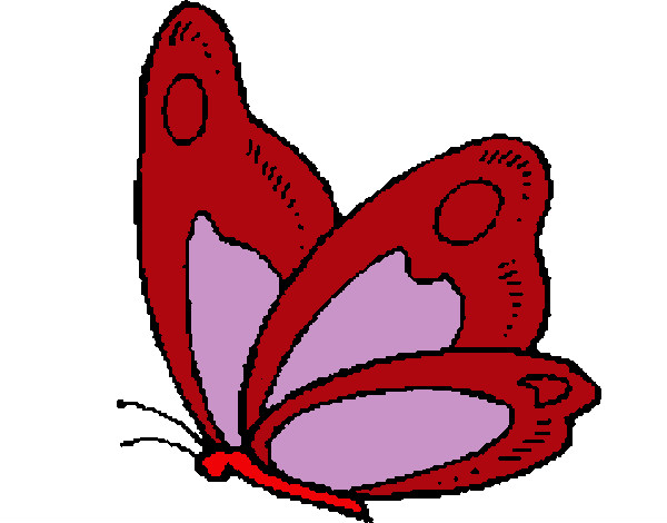Dibujo Mariposa 14 pintado por abi10gail