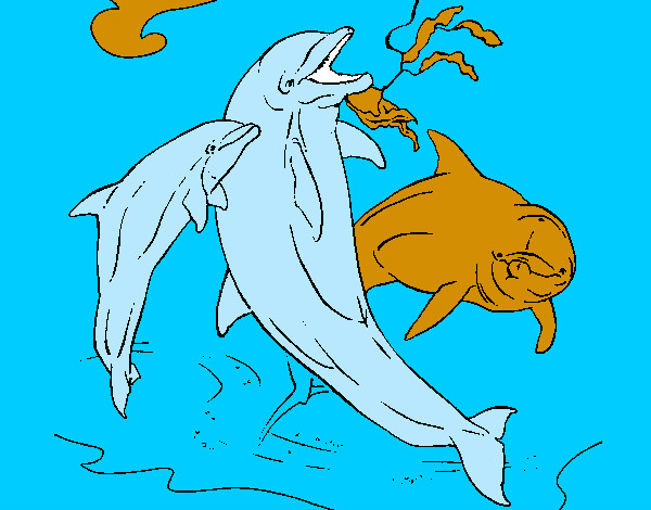 Dibujo Delfines jugando pintado por xavip