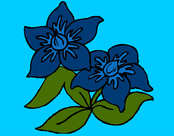 Flores 3