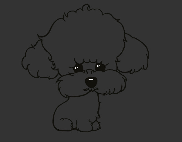 Dibujo Cachorro de poodle pintado por opintar