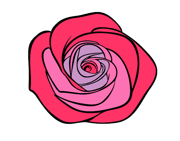 Dibujo Flor de rosa pintado por valeriaz