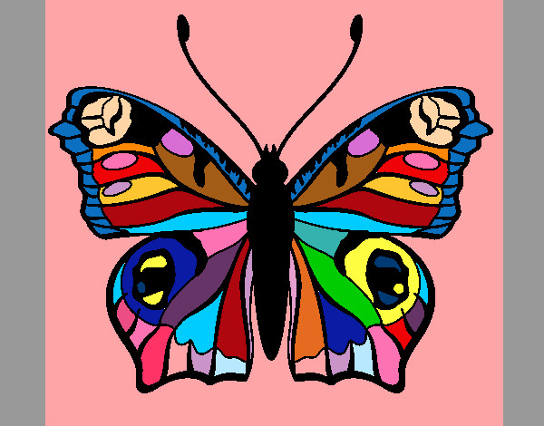 Dibujo Mariposa 20 pintado por clowden200