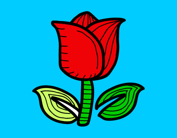 Dibujo Tulipán pintado por Yonatan