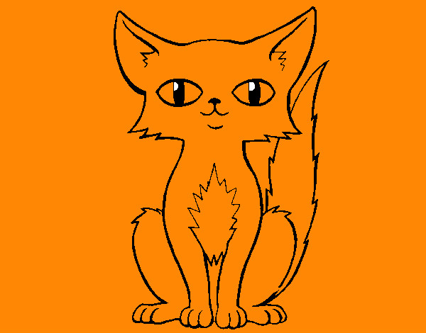 Dibujo Gato persa pintado por maedanoor