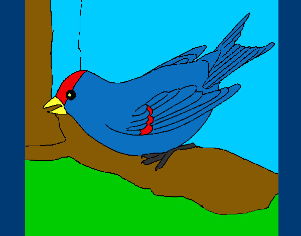 Dibujo Gorrión en una rama pintado por pavorreal 