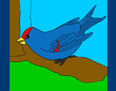 Dibujo Gorrión en una rama pintado por pavorreal 