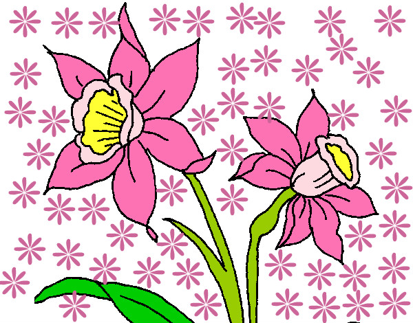 Dibujo Orquídea pintado por antomaxwel