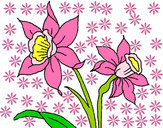 Dibujo Orquídea pintado por antomaxwel