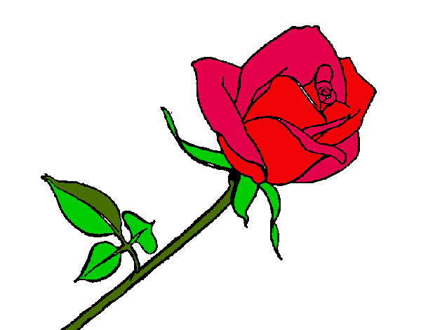 Dibujo Rosa pintado por gibar