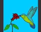 Dibujo Colibrí y una flor pintado por paletita