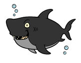 Dibujo Tiburón ballena pintado por janetth