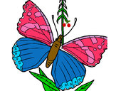 Dibujo Mariposa 5a pintado por lesther