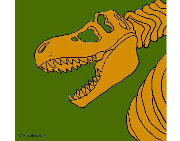 Dibujo Esqueleto tiranosaurio rex pintado por wenceslao