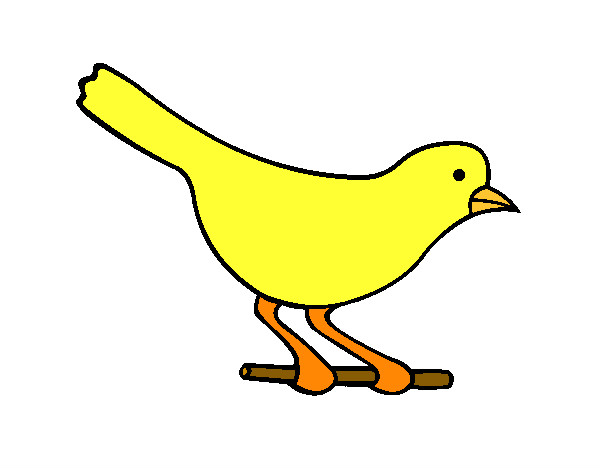 Dibujo Pájaro 4 pintado por sergibo