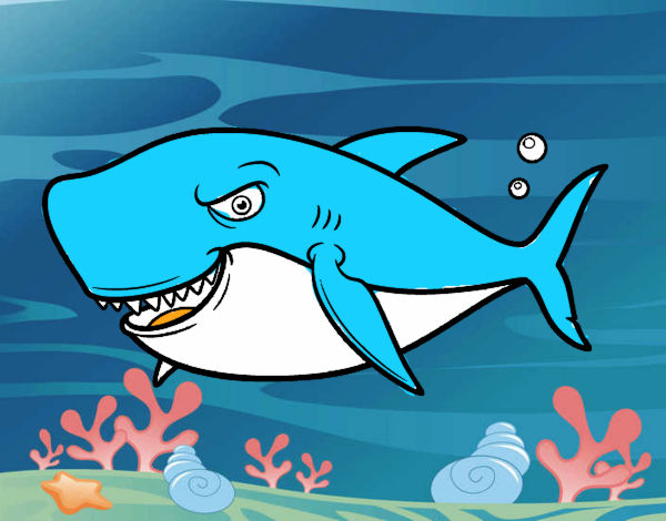 Dibujo Tiburón dentudo pintado por vas115