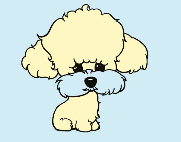 Dibujo Cachorro de poodle pintado por b3ca