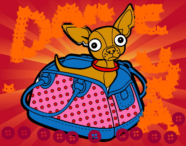Dibujo Chihuahua de viaje pintado por agusce