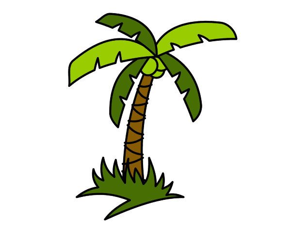 Dibujo Palmera tropical pintado por charlycar