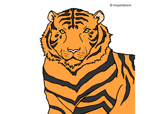 Dibujo Tigre 3 pintado por charlix