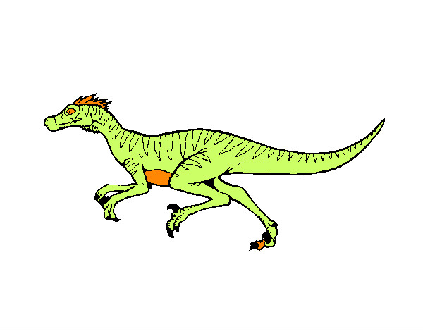 Dibujo Velociraptor pintado por pepin