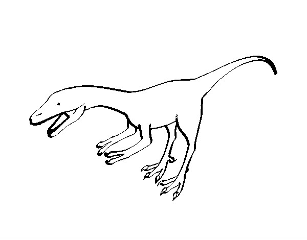 Dibujo Velociraptor II 1 pintado por andsmu