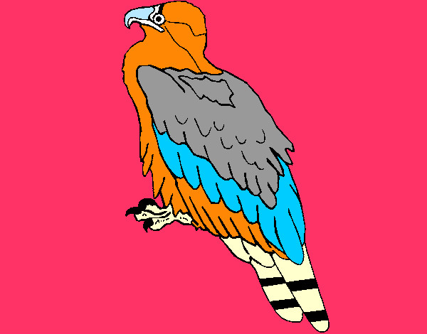 Dibujo Águila pintado por aitorich