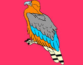 Dibujo Águila pintado por aitorich