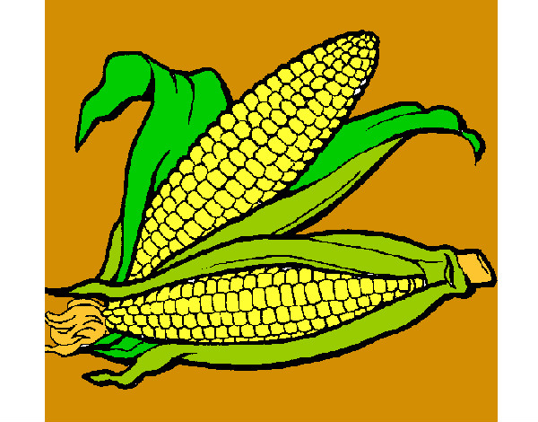 Dibujo Mazorca de maíz pintado por sufrit