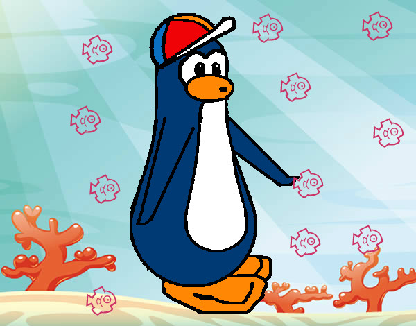 Dibujo Pingüino con gorra pintado por xaviel