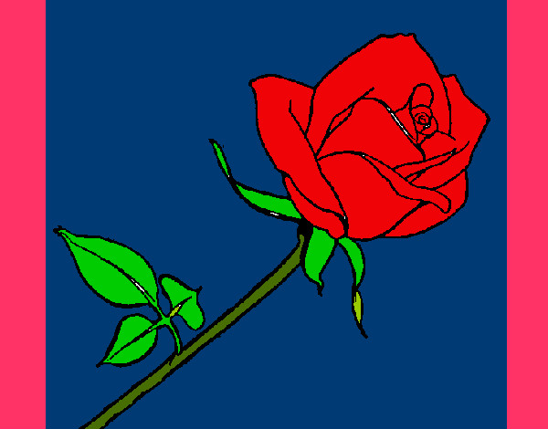Dibujo Rosa pintado por hanita501